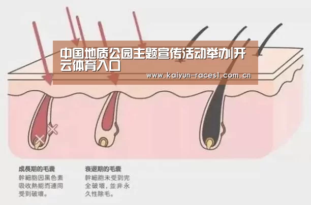 开云
