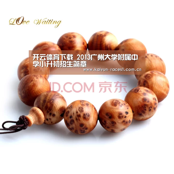 开云体育下载_2013广州大学附属中学小升初招生简章(图1) 开云体育入口