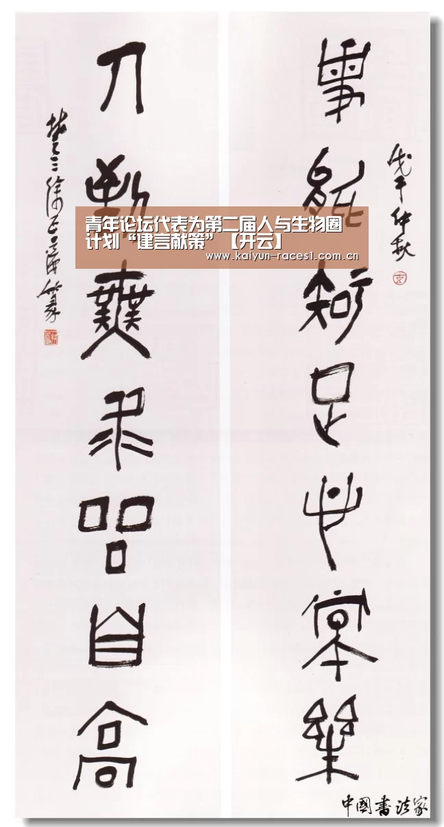 开云