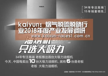 kaiyun:烟气脱硫脱硝行业2018年度产业发展调研报告(图4) 开云体育入口