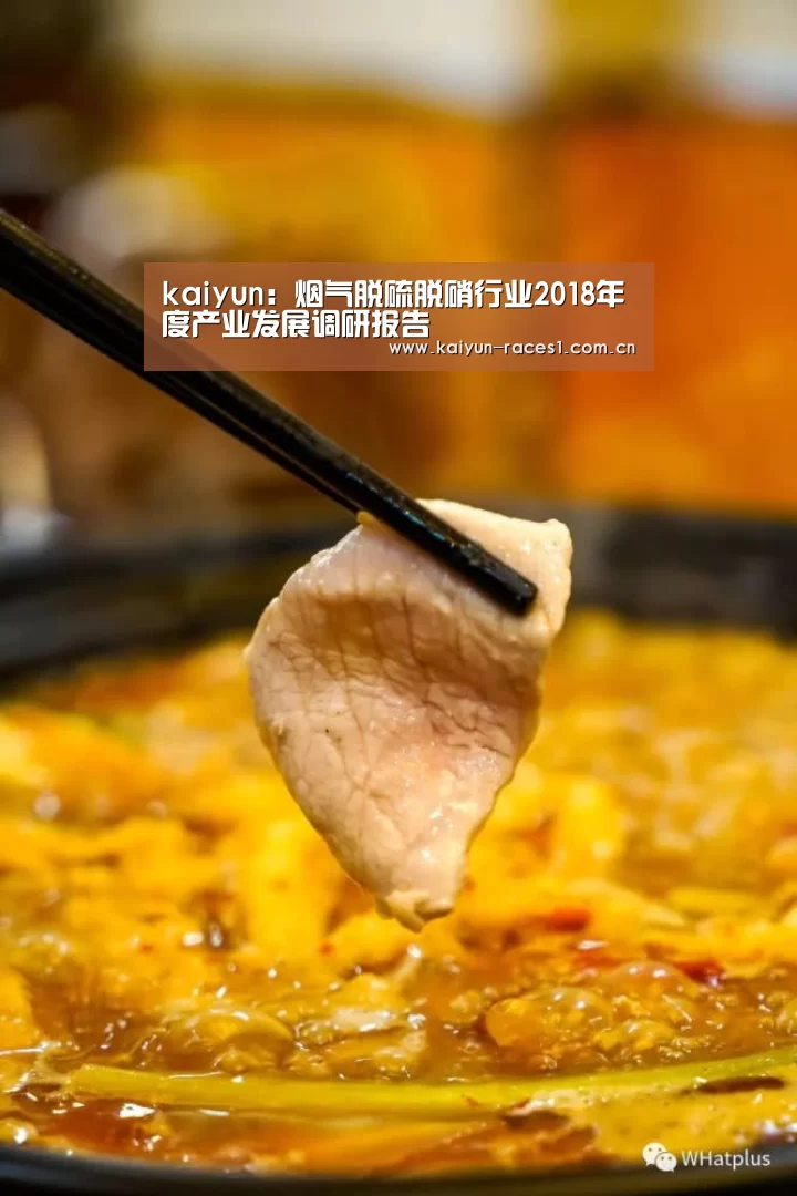 kaiyun:烟气脱硫脱硝行业2018年度产业发展调研报告(图1) 开云体育入口