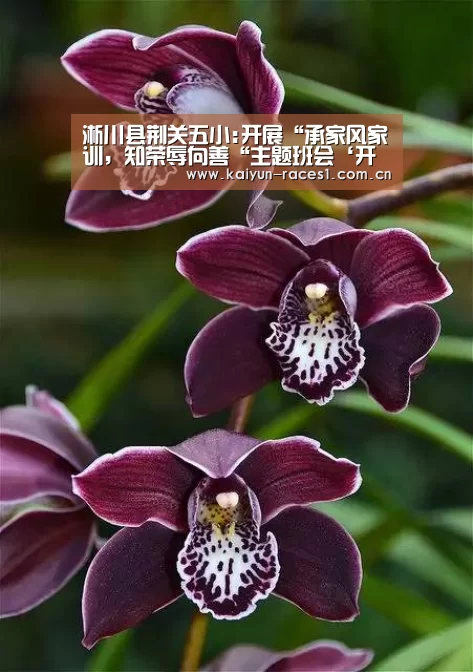 淅川县荆关五小:开展“承家风家训,知荣辱向善“主题班会‘开云APP’(图1) 开云体育入口