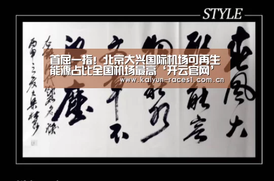 首屈一指!北京大兴国际机场可再生能源占比全国机场最高‘开云官网’(图3) 开云体育下载