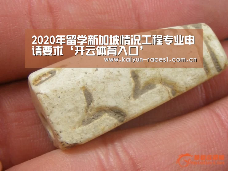 开云官网