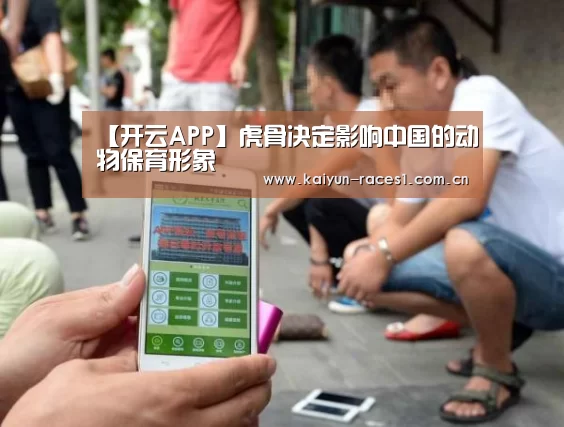 开云体育下载